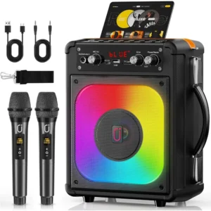 Portable Bluetooth Karaoke